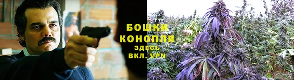 каннабис Балахна
