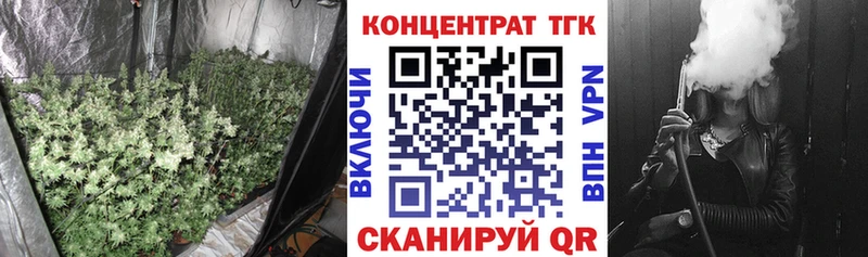дарнет шоп  Новый Уренгой  ТГК концентрат 