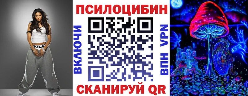 как найти закладки  Новый Уренгой  Псилоцибиновые грибы MAGIC MUSHROOMS 