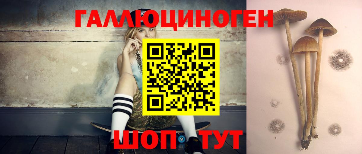 Новый Уренгой  Псилоцибиновые грибы Magic Shrooms  Вход с VPN  Галлюциногенные грибы Psilocybine cubensis 